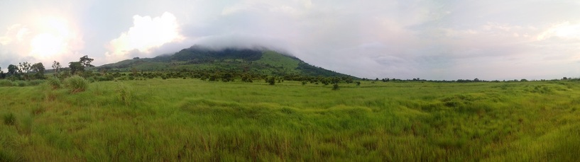 Picture